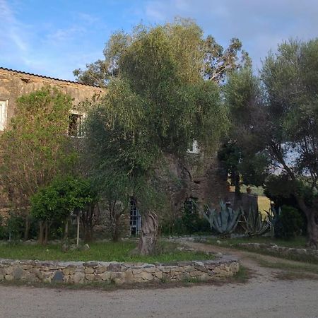 مبيت وإفطار Palasca  Domaine Ostriconi المظهر الخارجي الصورة