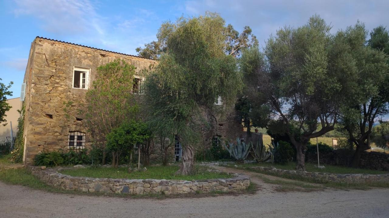 مبيت وإفطار Palasca  Domaine Ostriconi المظهر الخارجي الصورة